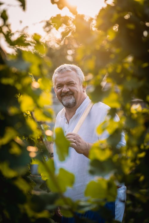 Pavel Esterka – vinař