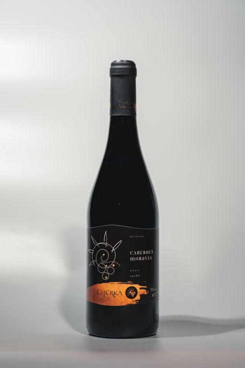 Cabernet Moravia 2024